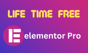 Elementor pro